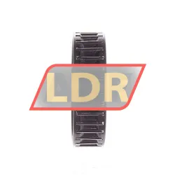 Neutral K55X60X17 rulman resim 2