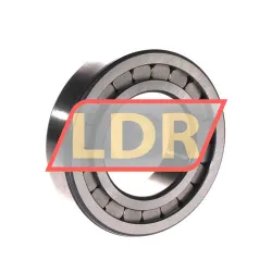 INA SL172211-A-XL rulman resim 2