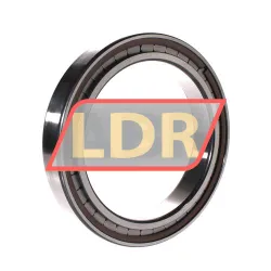 INA SL182928-B-XL-C3 rulman resim 2