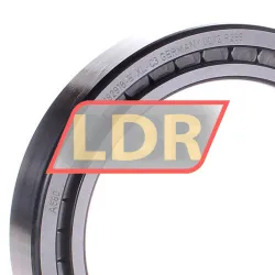 INA SL182918-B-XL-C3 rulman resim 2