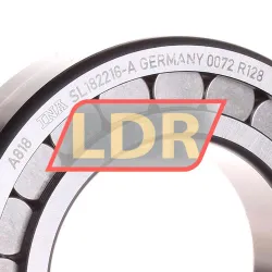 INA SL182216-A rulman resim 2