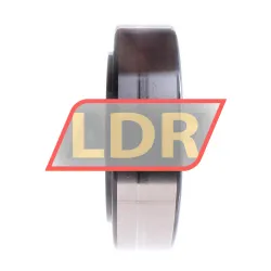 INA SL183032-A rulman resim 2