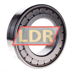 INA SL182219-A rulman resim 2