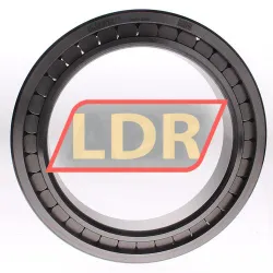 INA SL182936-B-XL rulman resim 2