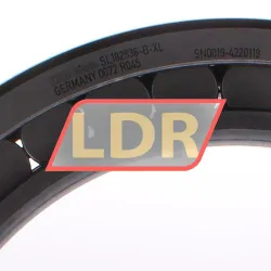 INA SL182936-B-XL rulman resim 3