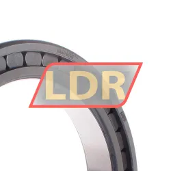 INA SL182934-B-XL rulman resim 2