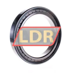 INA SL182934-B-XL rulman resim 3