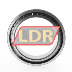 INA SL182919-B-XL rulman resim 2