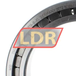 INA SL182919-B-XL rulman resim 3