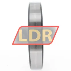 INA SL182919-B-XL rulman resim 4