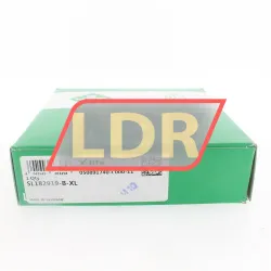 INA SL182919-B-XL rulman resim 5