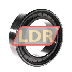 INA SL183022-A rulman resim 2