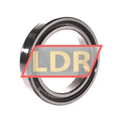 INA SL182917-B-XL-C3 rulman resim 2