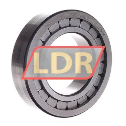 INA SL182214-A rulman resim 2