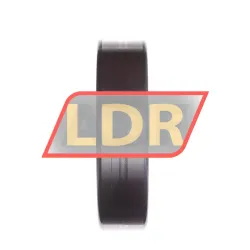 INA SL182214-A rulman resim 4
