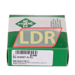 INA SL183007-A-XL rulman resim 2