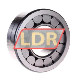 INA SL192314-C3