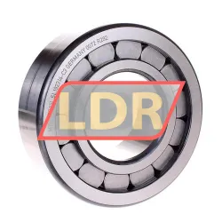 INA SL192314-C3 rulman resim 2