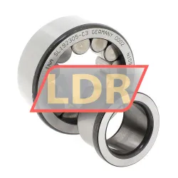 INA SL192305-C3 rulman resim 2