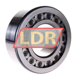 INA SL192318-TB-XL rulman resim 2
