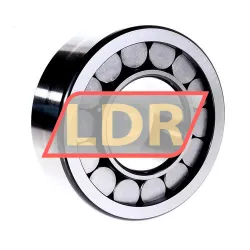 INA SL192315 rulman resim 2