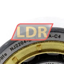 FAG NJ2204-E-XL-M1A-C4 rulman resim 4