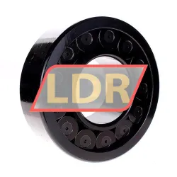 INA SL192322-TB-XL-BR-C3 rulman resim 2