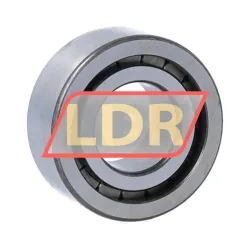 INA SL18-3004A rulman resim 2