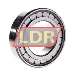 INA SL182219-A-C3 rulman resim 2