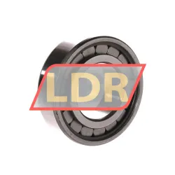 INA SL182208-A-XL-C3 rulman resim 2