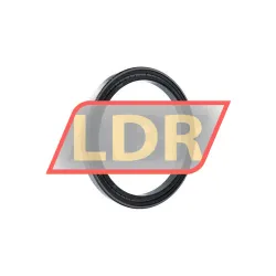 INA SL181844-A-C3 rulman resim 2