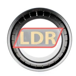 INA SL183020-A-C3 rulman resim 2