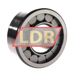 INA SL192312 rulman resim 2