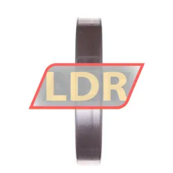 INA SL182924-B-XL rulman resim 5