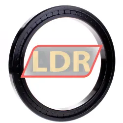 INA SL181834-A-BR