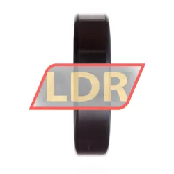 FAG NJ317-E-XL-TVP2-C4 rulman resim 4