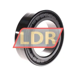 INA SL183018-A rulman resim 2