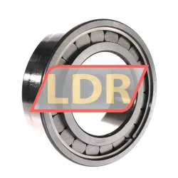 INA SL182224-A-C3 rulman resim 2