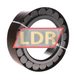 INA RSL182217-A rulman resim 2