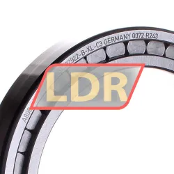 INA SL182922-B-XL-C3 rulman resim 2