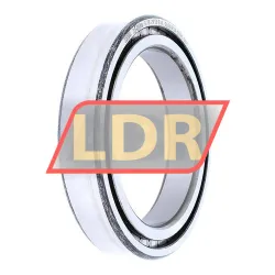 INA SL182913-B-XL rulman resim 2