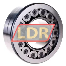 INA SL192318-TB-XL-C3 rulman resim 2