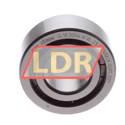 INA SL183004-A-XL-C3 rulman resim 2