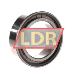 INA SL183015-A-XL rulman resim 3