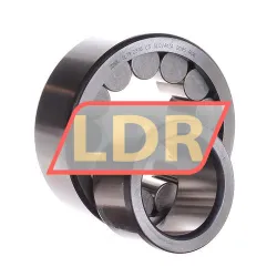 INA SL192310-C3 rulman resim 3