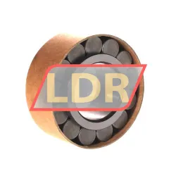 INA RSL182309-A rulman resim 2
