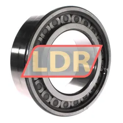 INA SL182226-A-C3 rulman resim 2