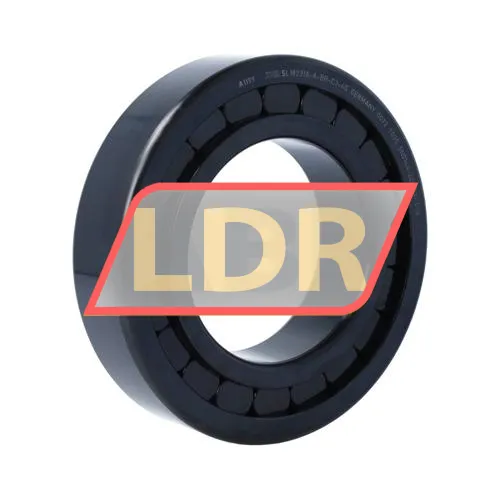 INA SL182216-A-BR-C3-4S