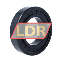 INA SL182216-A-BR-C3-4S rulman resim 2