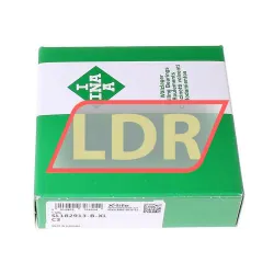 INA SL182913-B-XL-C3 rulman resim 2